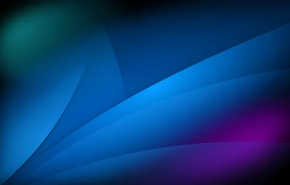 Leaves, light, line, color, petals