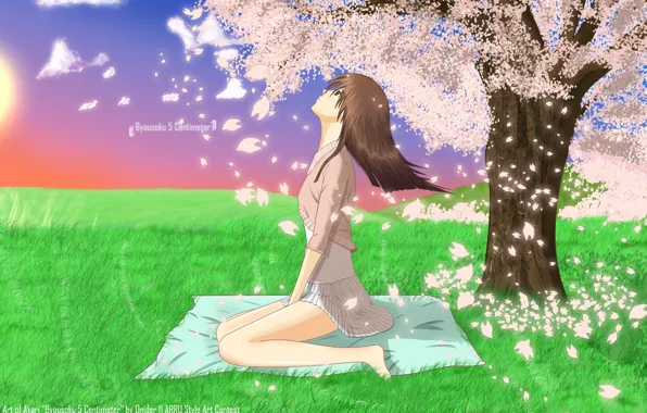 Girl, anime, art, sakura, 5 Centimeters per Second