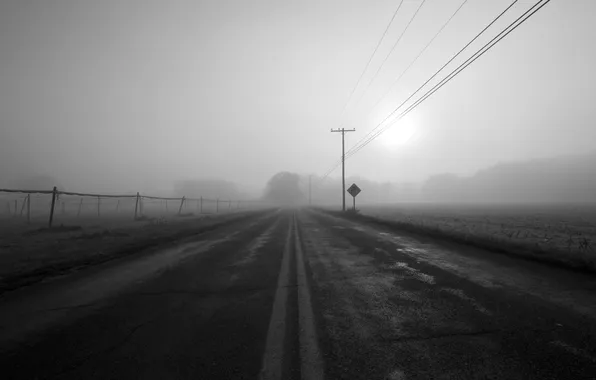 Picture road, fog, grey, sign, posts, wire, haze
