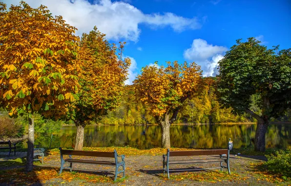 Picture autumn, trees, bench, nature, river, photo, Germany