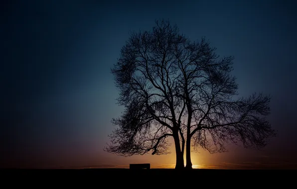 The sky, clouds, trees, sunset, silhouette, bench