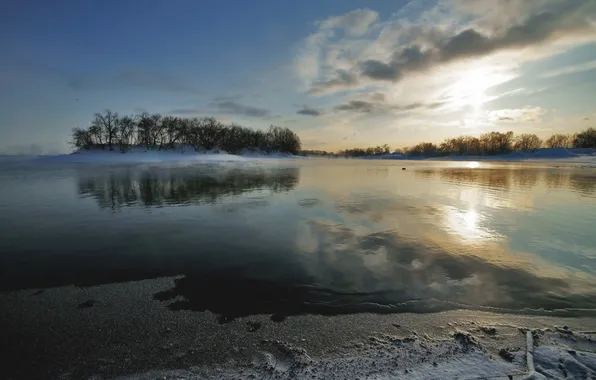 Snow, trees, lake, shore, Nature