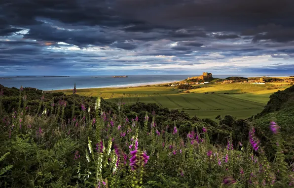 Bamburgh Castle, Northumberland, Farne Islands