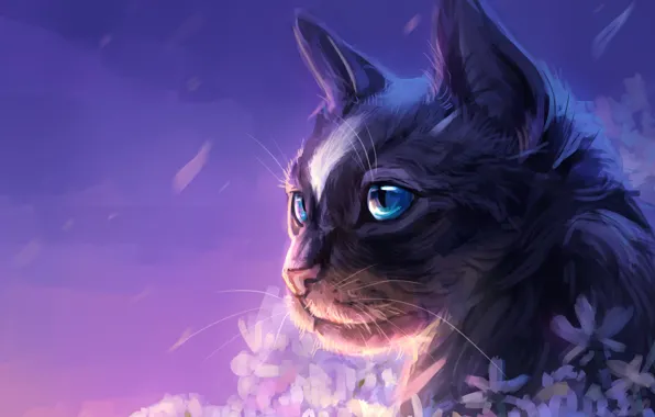 Cat, the sky, flowers, by AlaxendrA