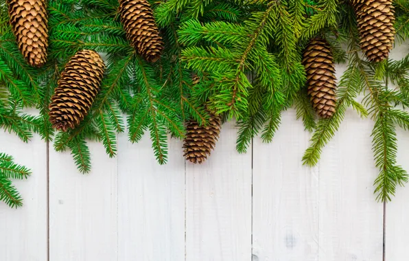 Branches, background, holiday, green, New year, needles, bumps, spruce