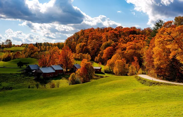 The sun, road, trees, Woodstock, Vermont, field, meadow, clouds