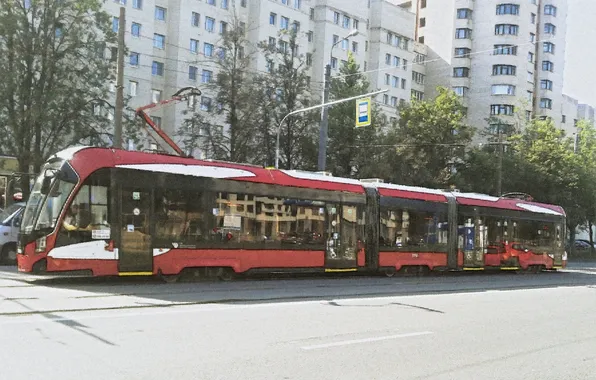 The city, transport, Avenue, tram
