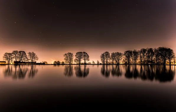 Stars, trees, night, lights, lake, house, pond, reflection