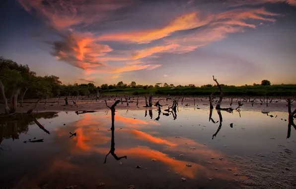 The sky, clouds, reflection, trees, lake, dry