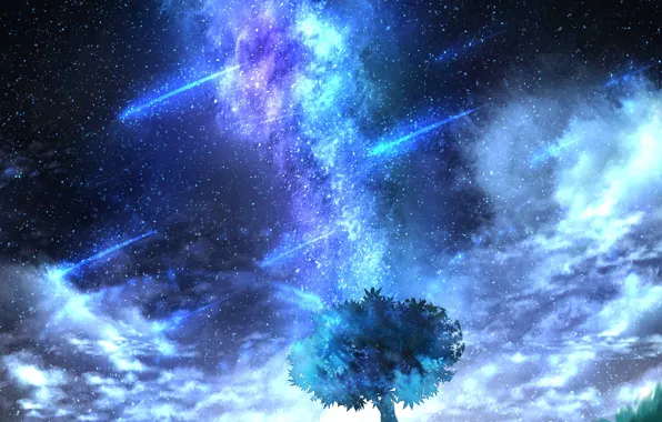 The sky, night, tree, the milky way, by CZY