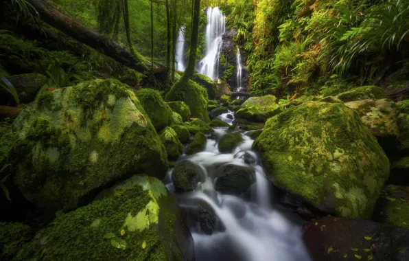 Picture forest, stream, stones, waterfall, moss, Australia, boulders, Australia