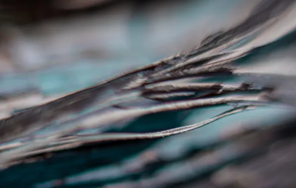 Tree, Copper, turquoise
