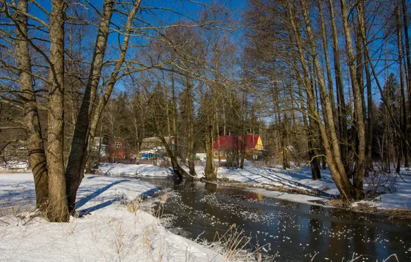 Winter, forest, nature, village, winter day