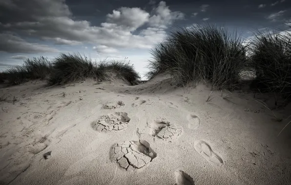 Sand, the sky, dunes