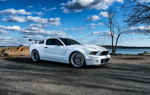 Picture GT500, Wheels, FORD, Niche, SHELBY, Whute