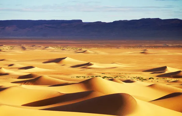 Sand, the sky, the dunes, hills, desert, texture, dunes