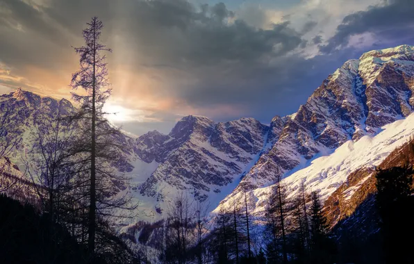 Winter, forest, the sky, the sun, clouds, rays, light, snow