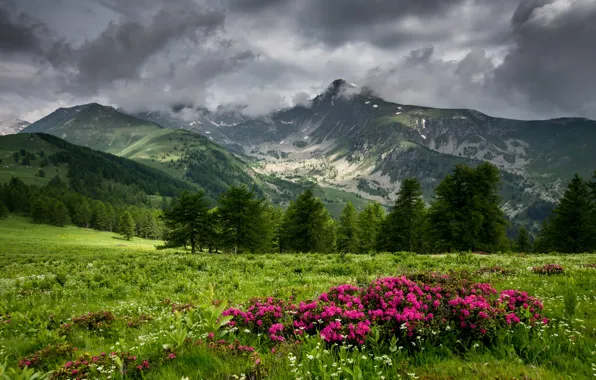 Picture mountains, clouds, Azalea