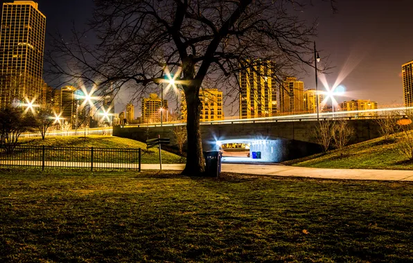 Trees, night, bridge, lights, Park, lawn, Chicago, lights
