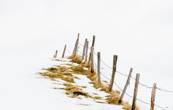 Winter, snow, the fence