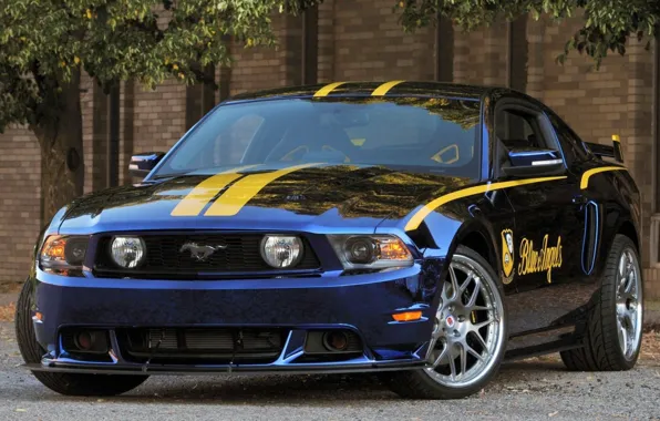 Picture Mustang, Blue, Angels