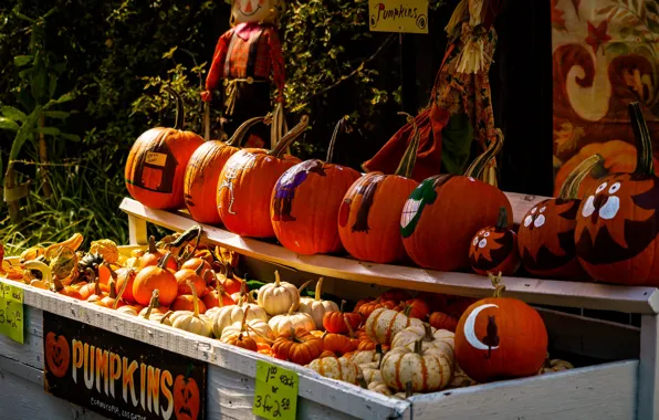 Autumn, decoration, holiday, drawings, pumpkin, Halloween, market, Halloween