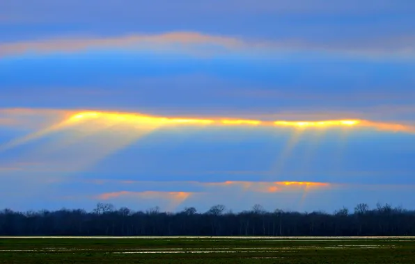 Picture field, the sky, clouds, rays, trees