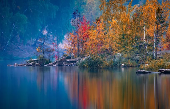 Autumn, trees, Russia, pond, Moscow oblast, Paul Narikov