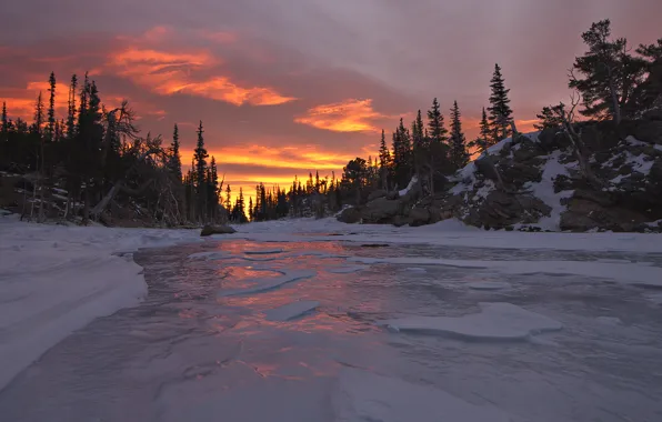 Winter, forest, sunset, nature, river, ice
