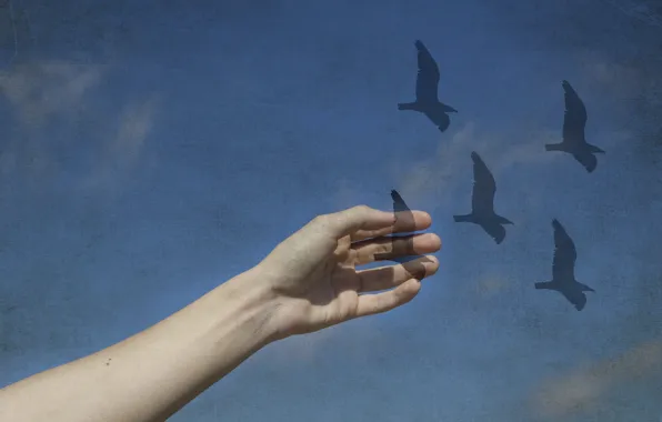 The sky, birds, the world, hand