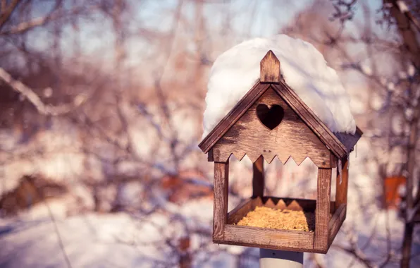 Winter, snow, trees, branches, nature, grain, birdhouse