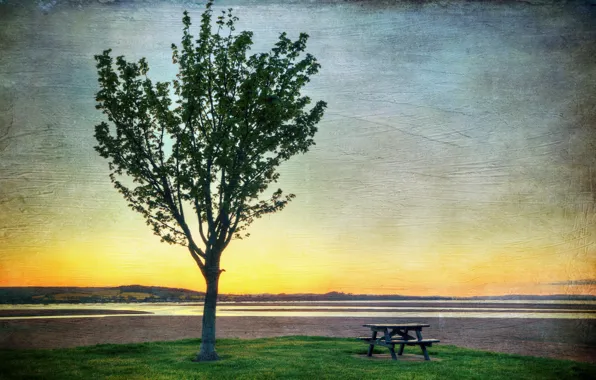 Sunset, style, table, background, tree