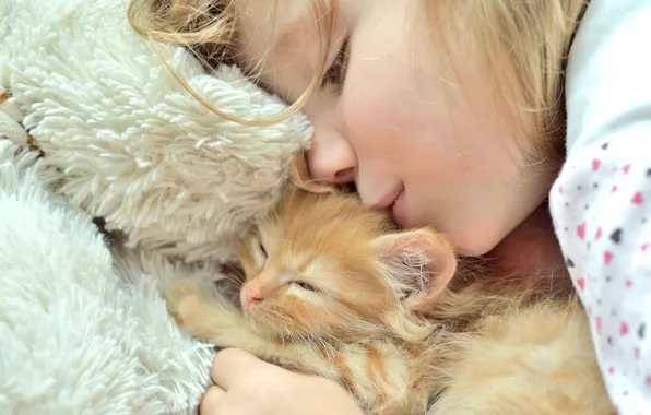 Picture love, kitty, friendship, girl, care