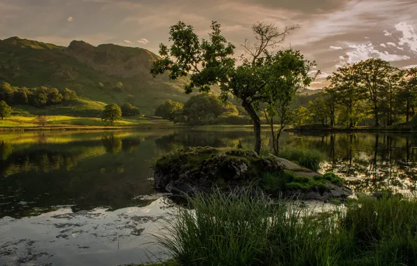 Picture trees, mountains, lake, the evening