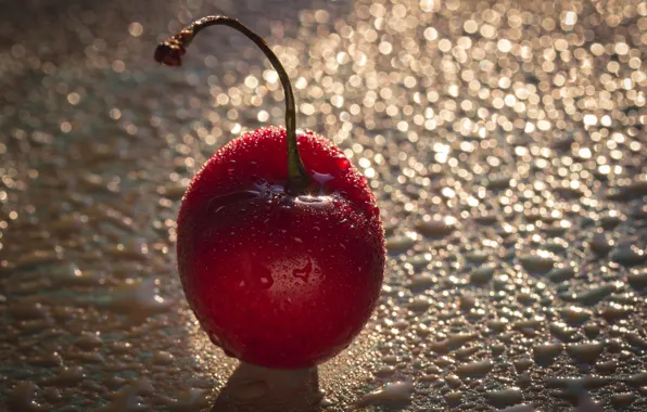 Picture drops, macro, red, cherry, berry