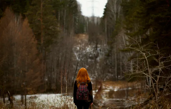 Picture forest, bokeh, the red-haired girl, autumn.snow