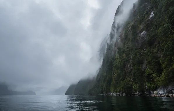 Picture the sky, trees, nature, fog, waterfall, rock, New Zealand, pond