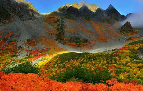 Picture autumn, the sky, trees, mountains