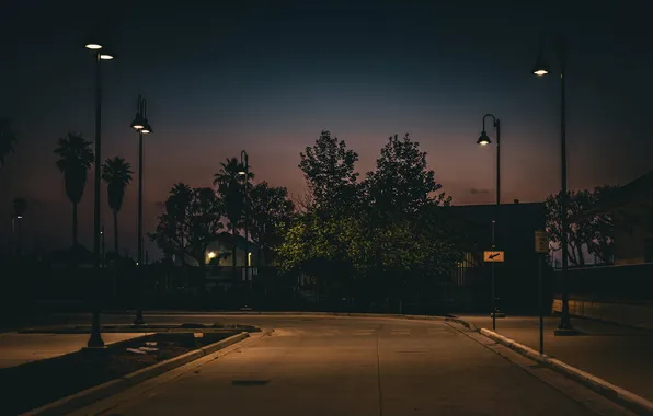 Road, the sky, asphalt, trees, night, house, Park, the evening