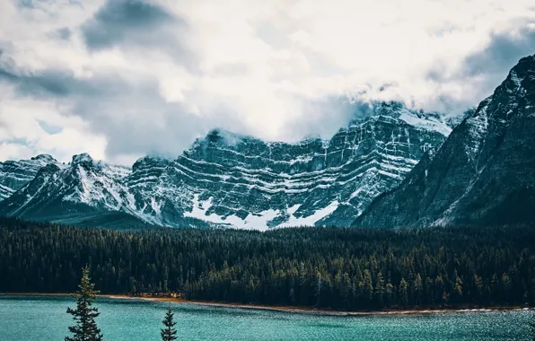 Picture forest, the sky, clouds, snow, trees, mountains, nature, river