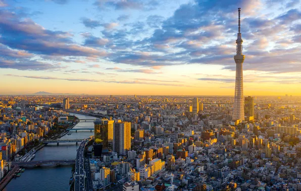 Clouds, Sunrise, Japan, Horizon, Tokyo, Tokyo, Japan, Skyline