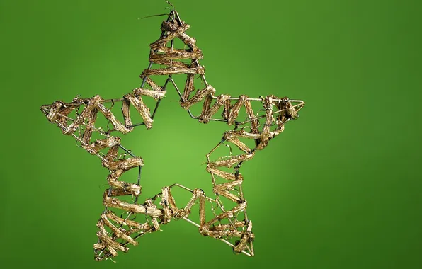 Star, wire, decoration, green background, frame, Christmas tree toy