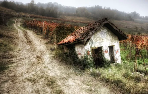 Road, house, garden, vineyard