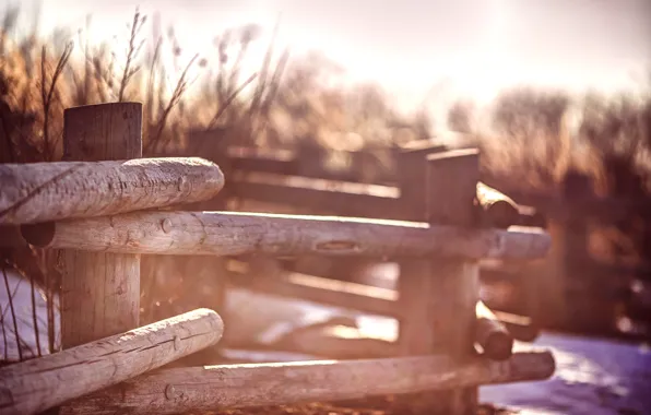 Posts, the fence, blur, fence