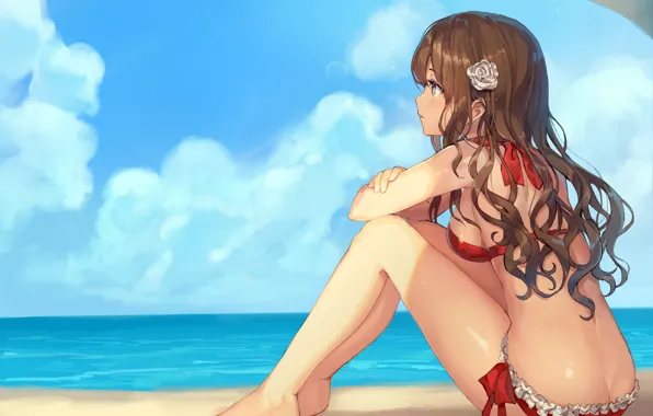 Picture girl, sexy, ass, cleavage, beach, long hair, sea, brown hair