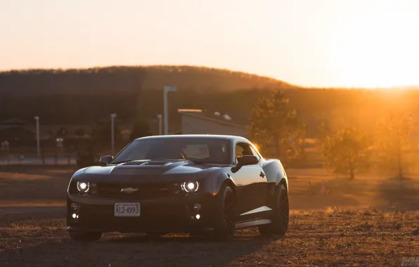 Picture Black, Camaro, 2014, ZL1, Sun, Auto, Muscle Car, Chevrolet