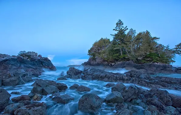 Sea, trees, rocks, Canada, Vancouver island