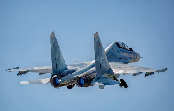 Picture fighter, multipurpose, Su-30CM, Su-30 SM