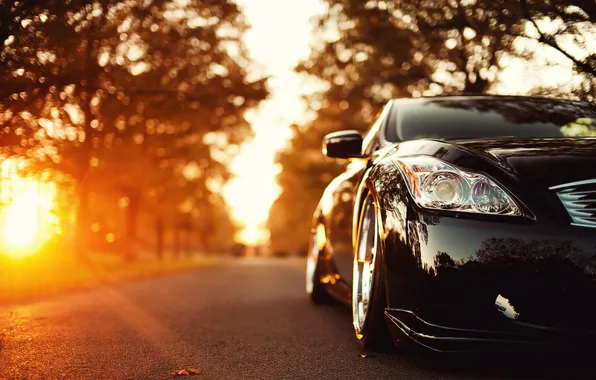 Road, auto, autumn, the sun, rays, infiniti, cars, auto