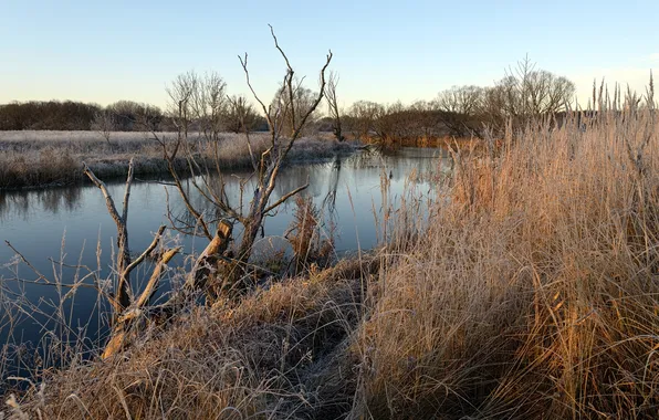 Picture autumn, landscape, river, morning